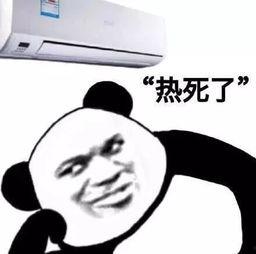 我是吃瓜群主什么意思啊视频,一场网络视频的狂欢与思考