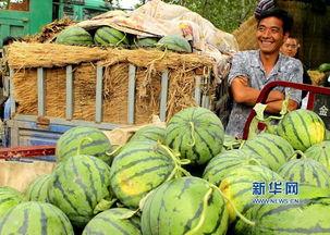 襄城县吃瓜视频,揭秘当地美食文化盛宴