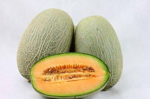 大猪猪吃哈密瓜小视频下载,萌态十足小视频走红网络