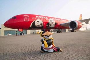 海南航空飞北京吃烤鸭瓜视频,空中美食之旅