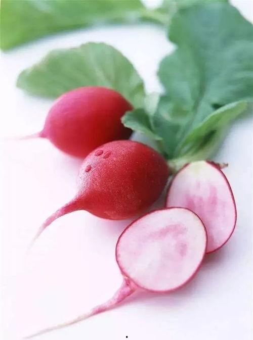 寻找吃瓜萝卜视频,揭秘吃瓜萝卜视频背后的故事