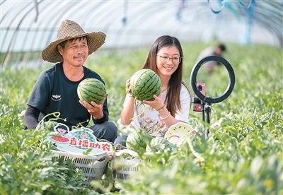 新农人吃瓜视频,揭秘农村生活新风尚