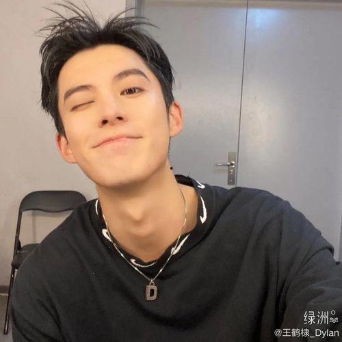 吃瓜表情王鹤棣视频下载,瓜王本王！