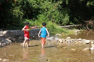 风景吃瓜视频,畅游视觉盛宴与美食诱惑