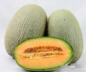 人可以只吃哈密瓜吗视频